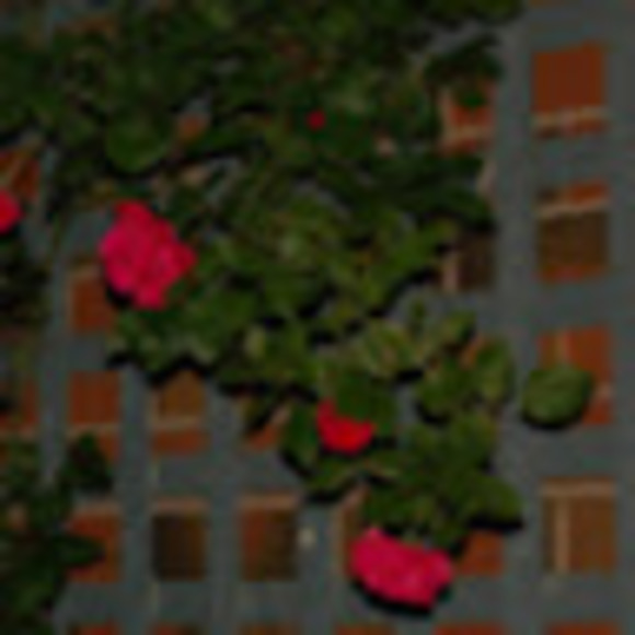 Meet your Posher, Dexter - Picture 1 of 1